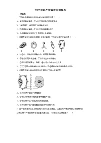 2022年内蒙古科左中旗中考生物冲刺押题卷(word版含答案)