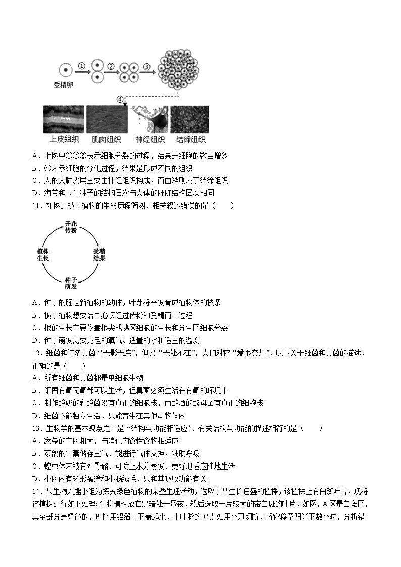 2022年山东省德州市禹城市中考一模生物试题（有答案）03