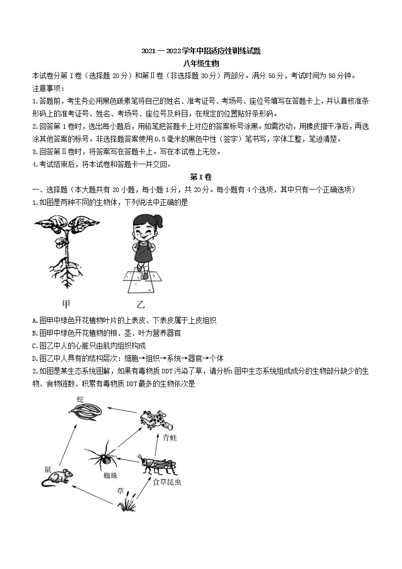 2022年河南省济源市八年级中招适应性训练（一模）生物试题（有答案）01