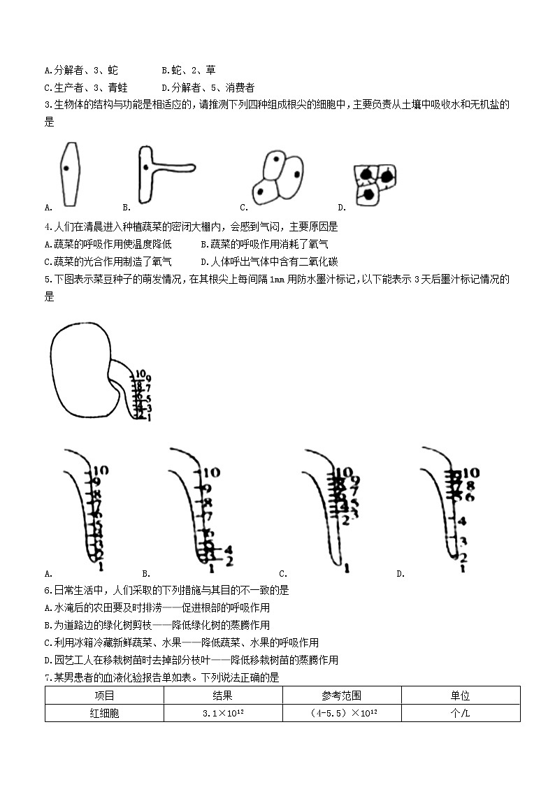 2022年河南省济源市八年级中招适应性训练（一模）生物试题（有答案）02