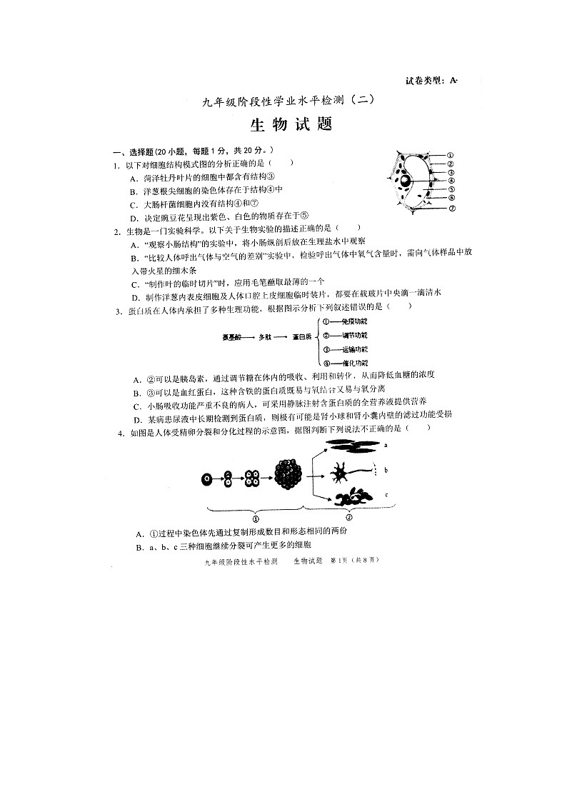 2022山东菏泽牡丹区初三中考二模生物 试题第1页