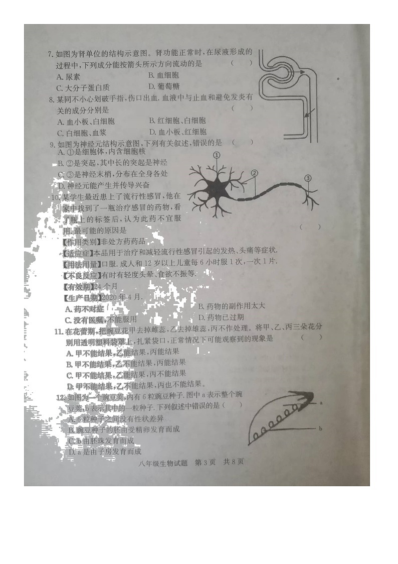 济宁市泗水县2022二模八年级生物试题第3页