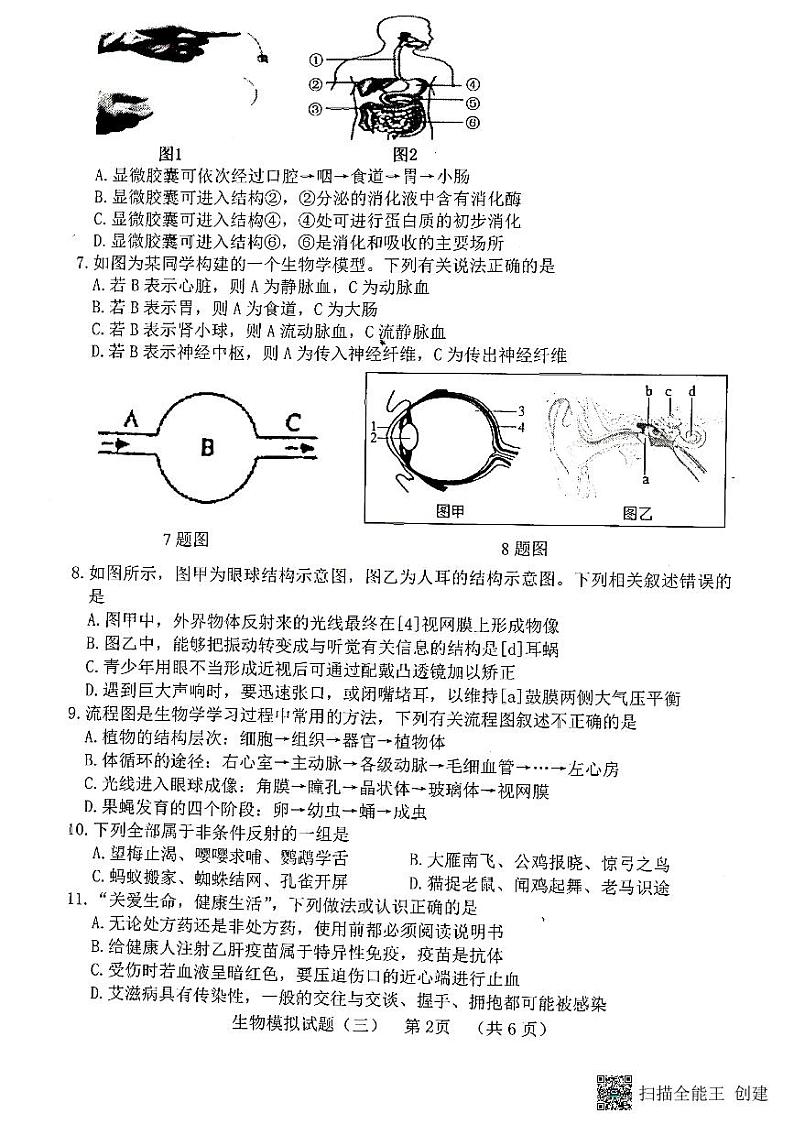 山东东明2021-2022九年级中考三模生物试题含答案第2页