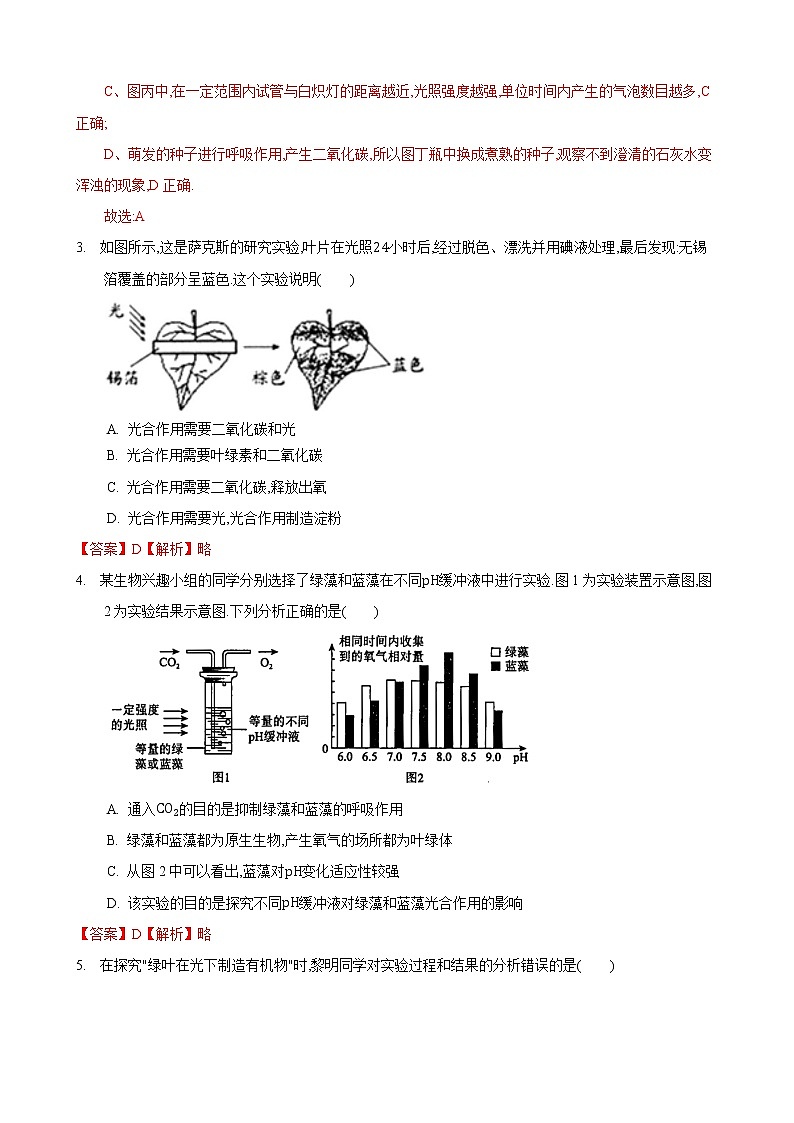 4.1 植物的光合作用 第1课时-七年级生物上册 课件+练习（苏科版）02