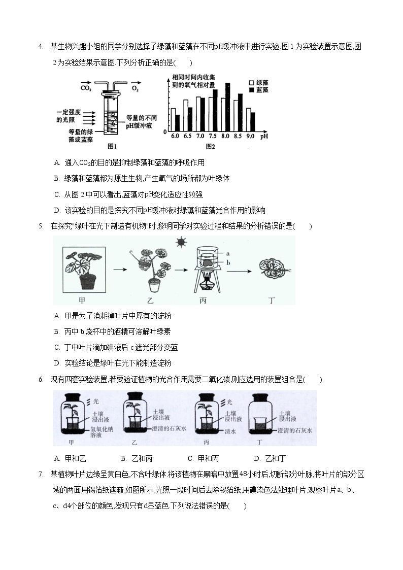 4.1 植物的光合作用 第1课时-七年级生物上册 课件+练习（苏科版）02