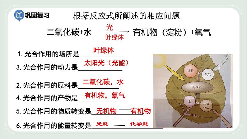 4.1 植物的光合作用 第3课时-七年级生物上册 课件+练习（苏科版）02