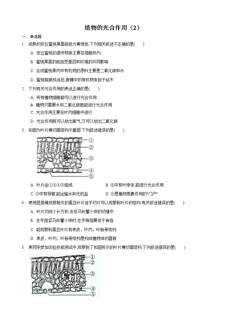4.1 植物的光合作用 第2课时-七年级生物上册 课件+练习（苏科版）01