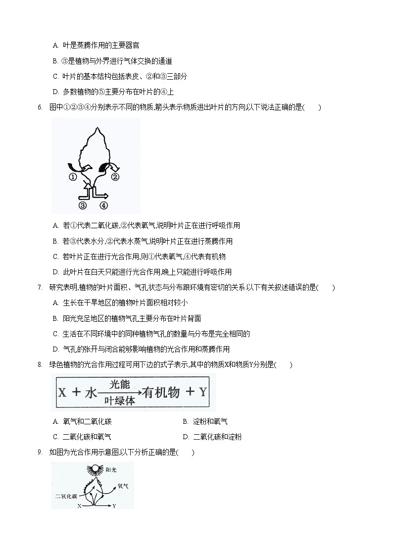 4.1 植物的光合作用 第2课时-七年级生物上册 课件+练习（苏科版）02
