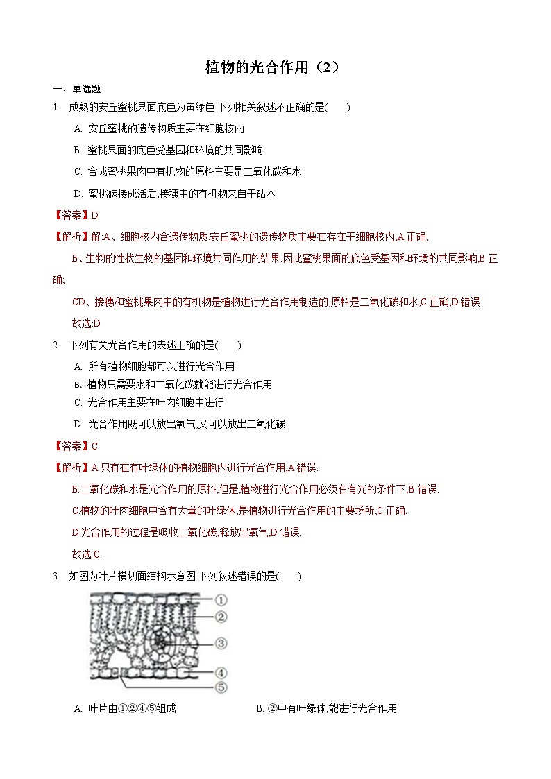 4.1 植物的光合作用 第2课时-七年级生物上册 课件+练习（苏科版）01