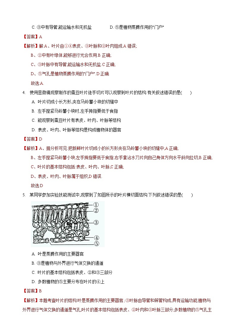 4.1 植物的光合作用 第2课时-七年级生物上册 课件+练习（苏科版）02