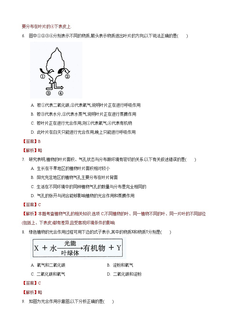 4.1 植物的光合作用 第2课时-七年级生物上册 课件+练习（苏科版）03