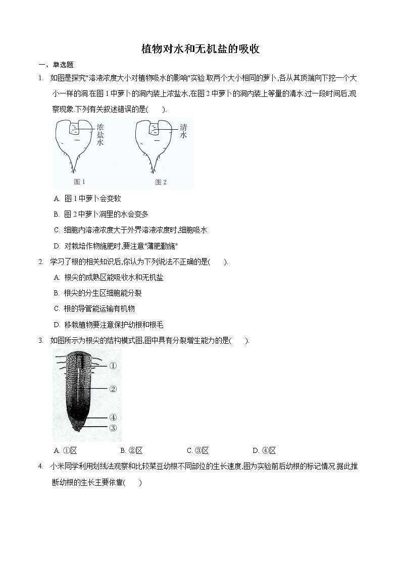4.2 绿色植物的生长需要水和无机盐 第2课时-七年级生物上册 课件+练习（苏科版）01
