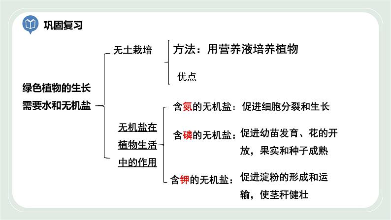 4.2 绿色植物的生长需要水和无机盐 第2课时-七年级生物上册 课件+练习（苏科版）02