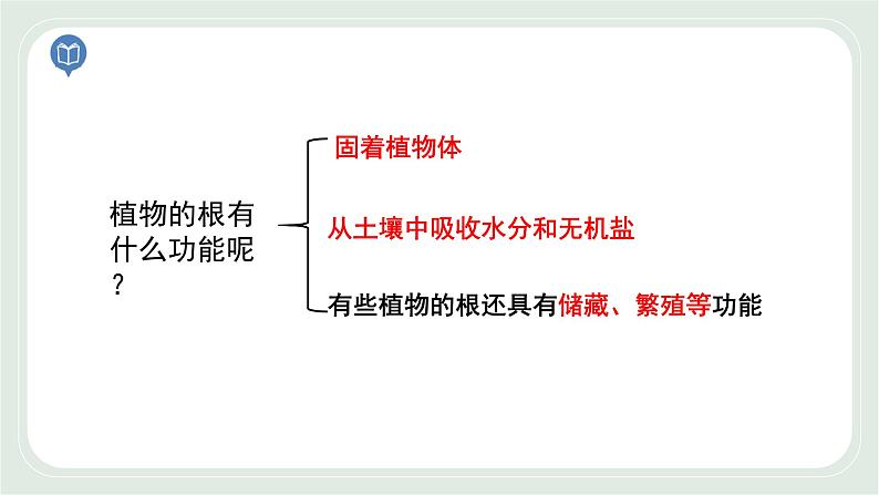 4.2 绿色植物的生长需要水和无机盐 第2课时-七年级生物上册 课件+练习（苏科版）06