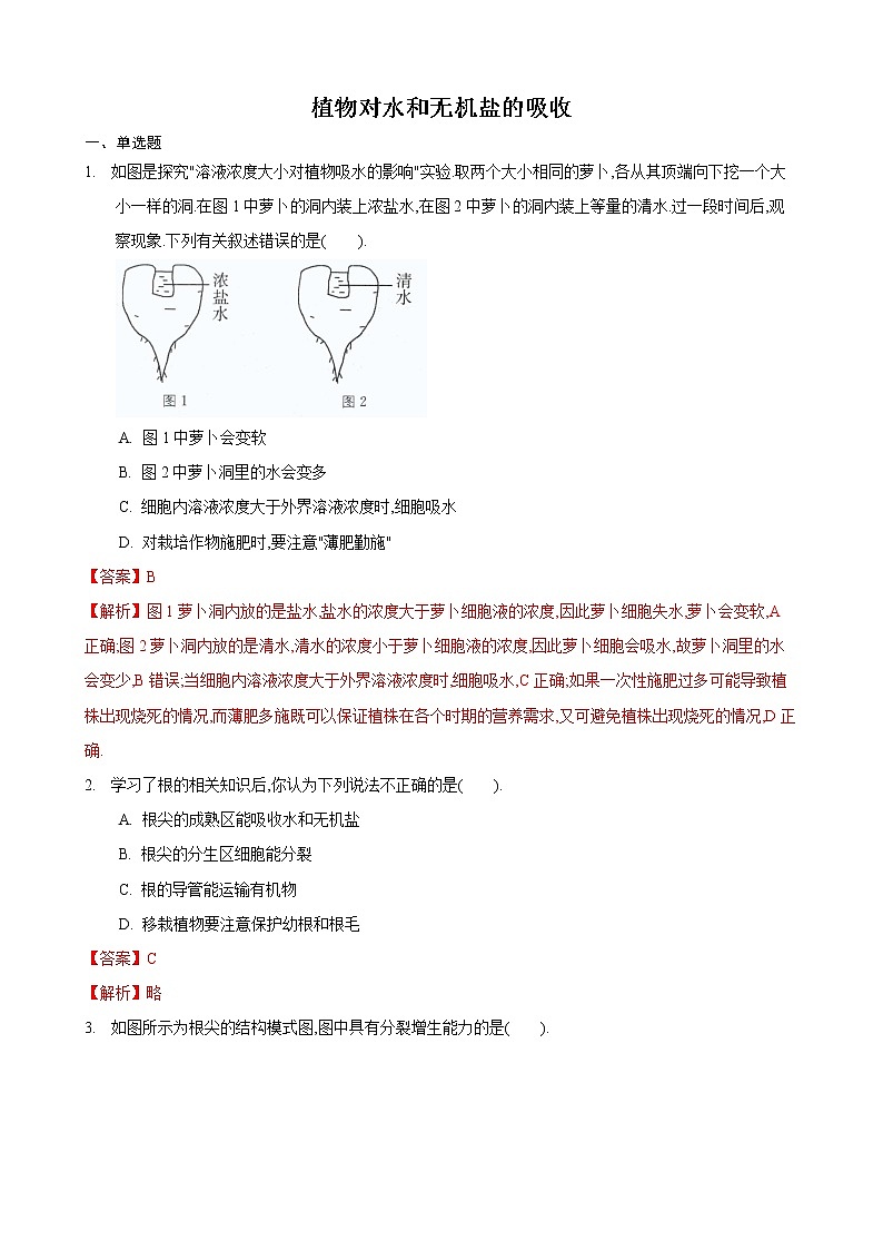 4.2 绿色植物的生长需要水和无机盐 第2课时-七年级生物上册 课件+练习（苏科版）01
