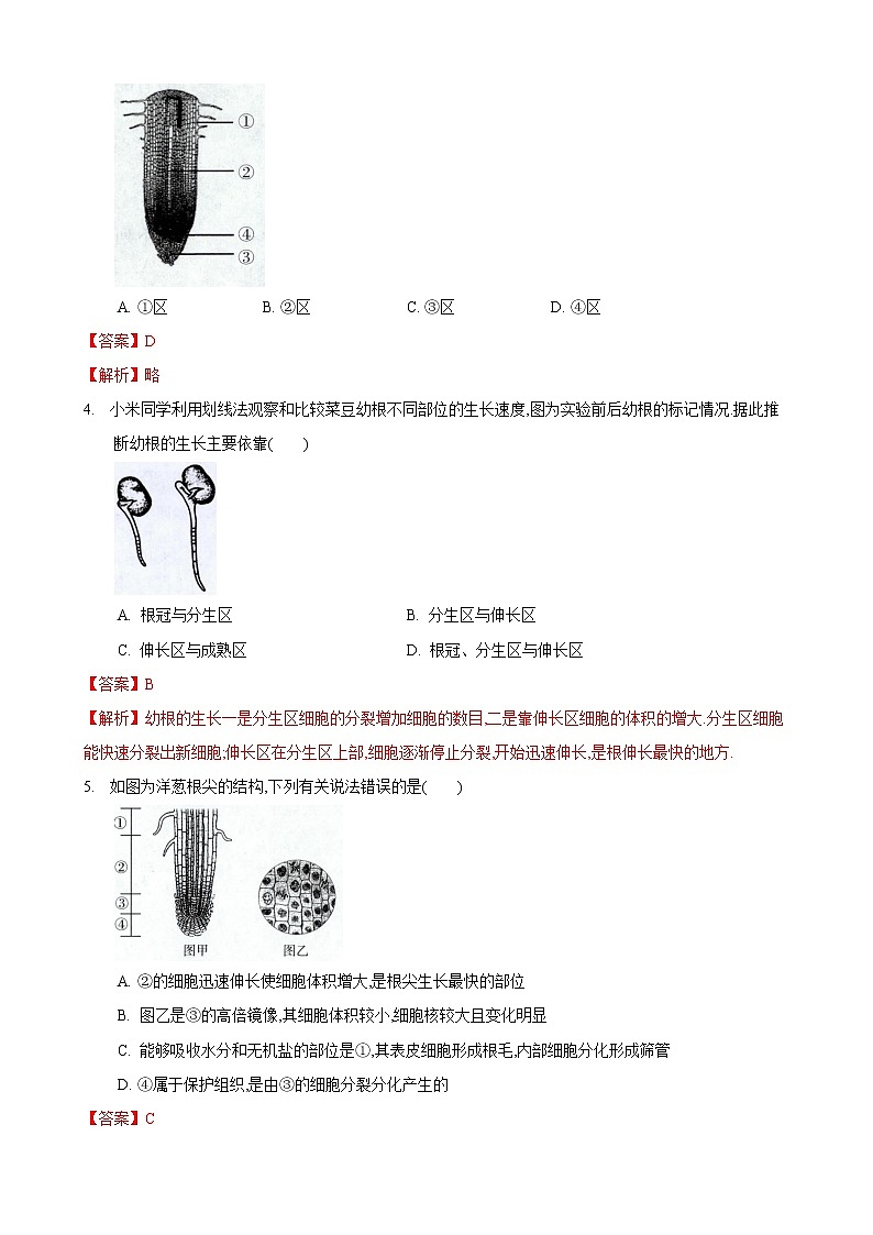 4.2 绿色植物的生长需要水和无机盐 第2课时-七年级生物上册 课件+练习（苏科版）02