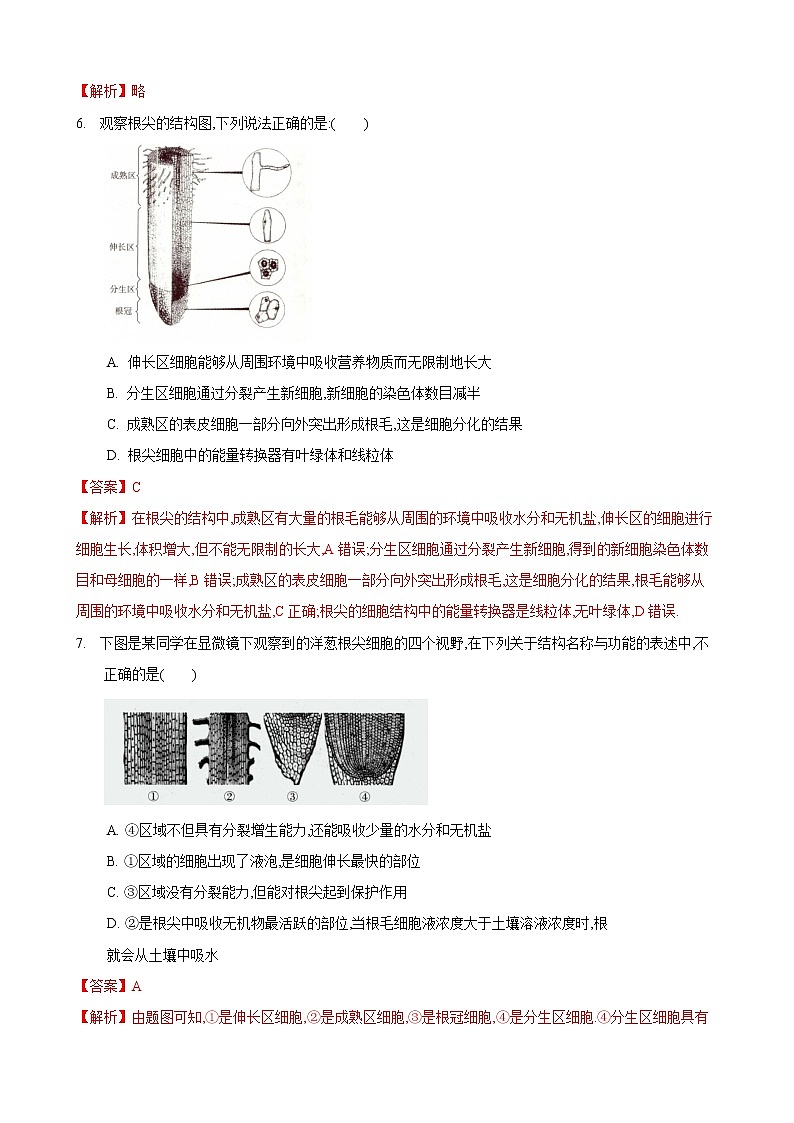 4.2 绿色植物的生长需要水和无机盐 第2课时-七年级生物上册 课件+练习（苏科版）03