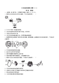 2022年山东省泰安市岱岳区中考二模生物试题（含答案）