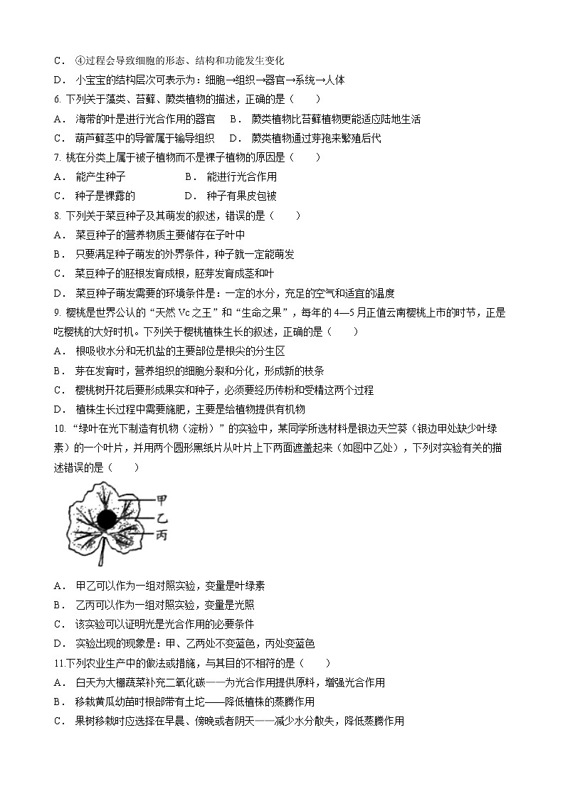 2022年云南省临沧市耿马县八年级学业水平考试（二模）生物试题（含答案）第2页