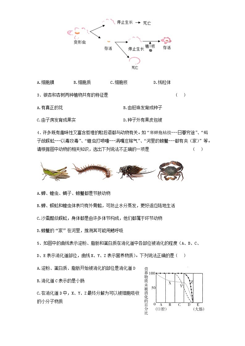 2022年山东省济宁市泗水县中考二模生物试题（含答案）02
