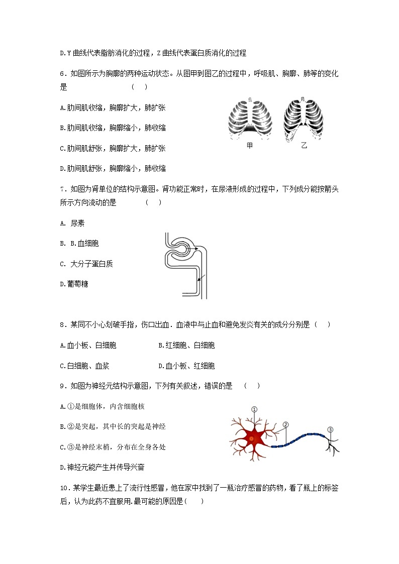 2022年山东省济宁市泗水县中考二模生物试题（含答案）03