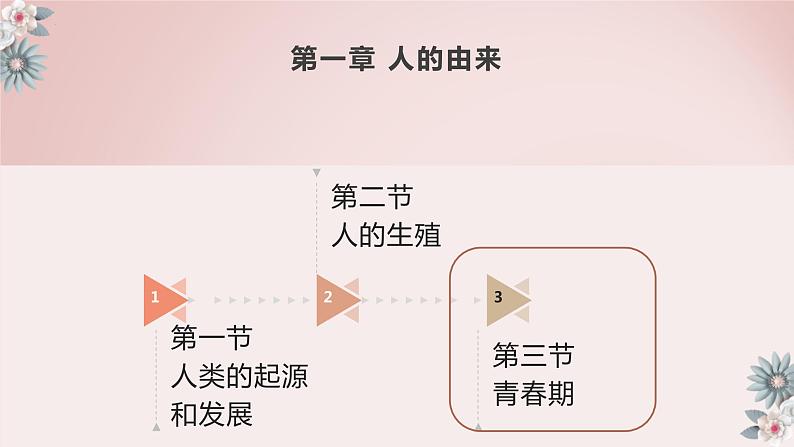 4.1.3青春期课件2021-2022 学年人教版七年级生物下册01