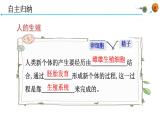 4.1.2人的生殖课件2021-2022学年人教版七年级生物下册