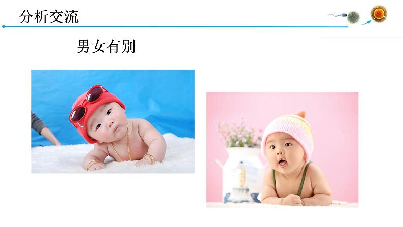 4.1.2人的生殖课件2021-2022学年人教版七年级生物下册06