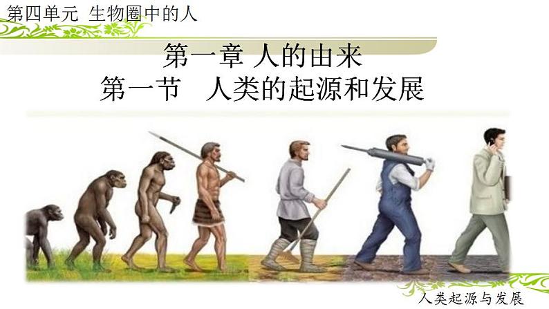 4.1.1人的起源和发展课件2021--2022学年人教版生物七年级下册第1页