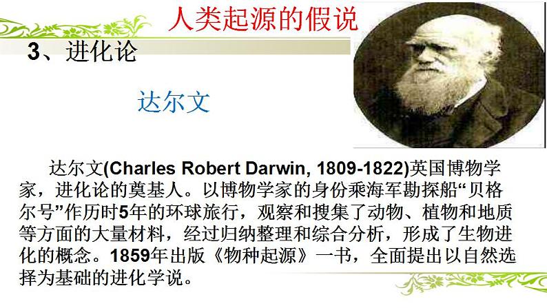 4.1.1人的起源和发展课件2021--2022学年人教版生物七年级下册第6页