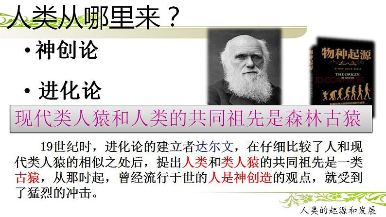 4.1.1人的起源和发展课件2021--2022学年人教版生物七年级下册第7页