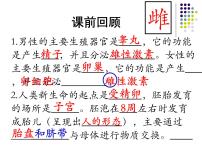 初中生物人教版 (新课标)七年级下册第三节 青春期授课课件ppt