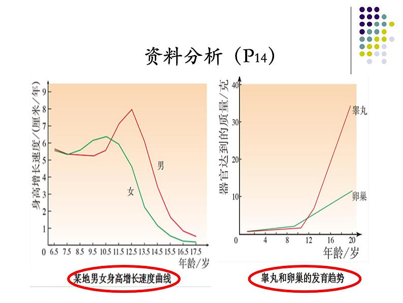 4.1.3青春期课件2021 --2022学年人教版生物七年级下册06