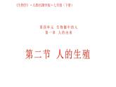 4.1.2人的生殖课件2021--2022学年人教版七年级生物下册