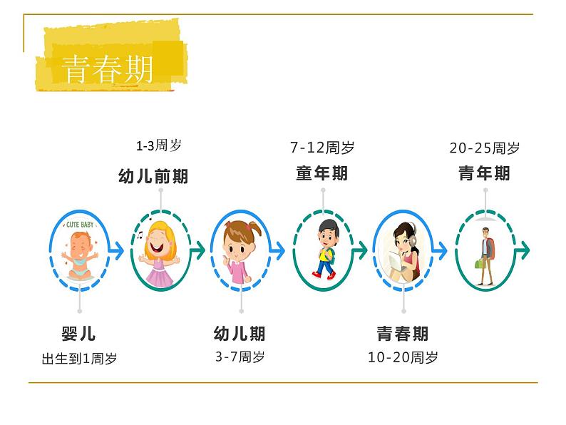 4.1.3青春期课件2021-- 2022学年人教版生物七年级下册02