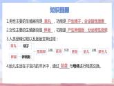 4.1.3青春期课件2021--2022学年人教版生物七年级下册