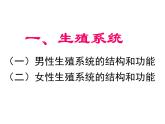 4.1.2人的生殖课件2021-2022学年人教版七年级生物下册(1)