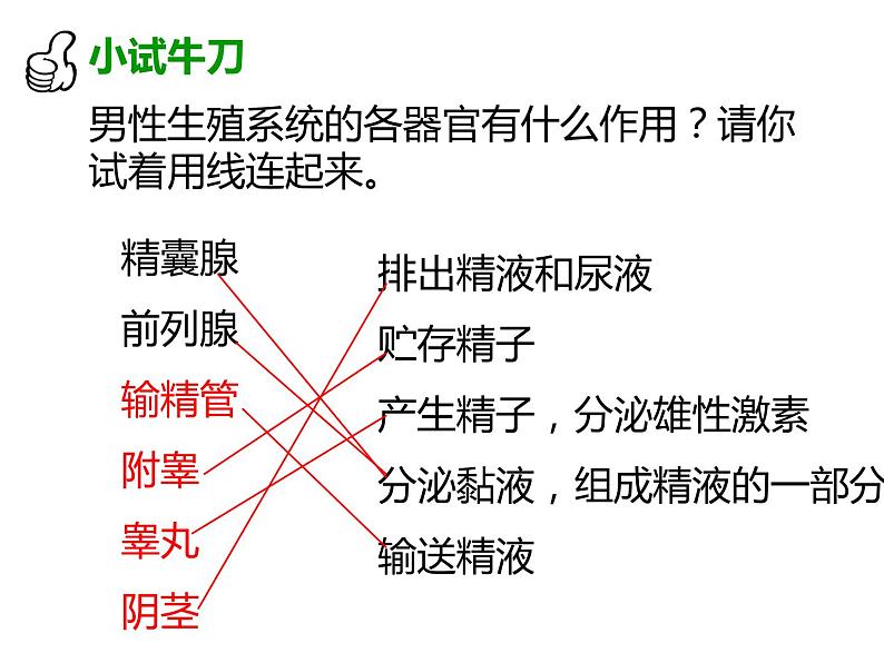 4.1.2人的生殖课件2021-2022学年人教版七年级生物下册(1)第6页