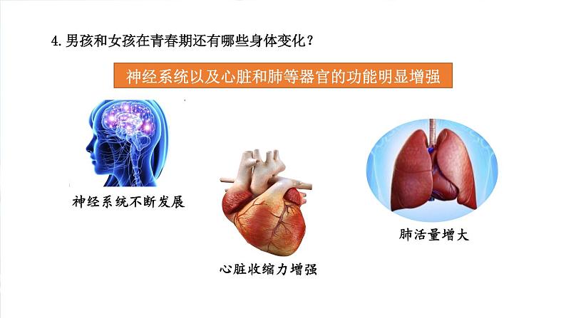 4.1.3.青春期课件2021-2022学年人教版七年级生物下册07