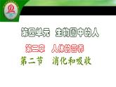 4.2.2消化和吸收课件2021-2022学年人教版七年级生物下册