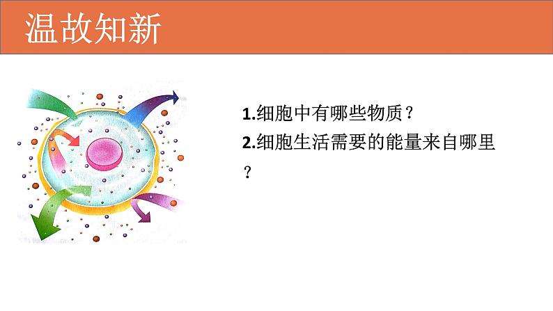 4.2.1食物中的营养物质课件 2021-2022学年人教版生物七年级下册第2页