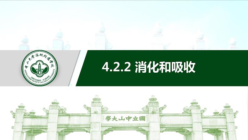 4.2.2消化和吸收课件2021--2022学年人教版生物七年级下册01