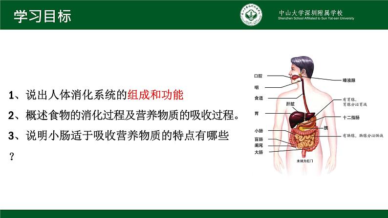 4.2.2消化和吸收课件2021--2022学年人教版生物七年级下册02