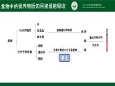 4.2.2消化和吸收课件2021--2022学年人教版生物七年级下册