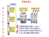 4.2.2消化和吸收课件2021-2022学年人教版生物七年级下册