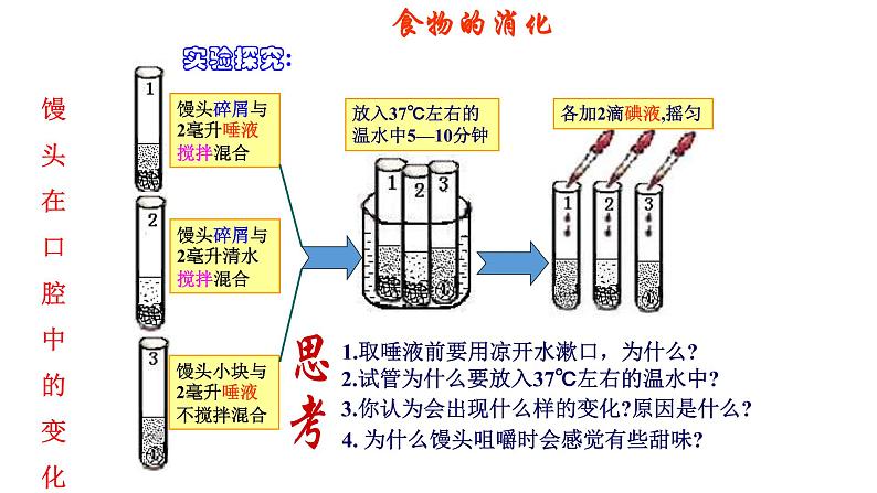 4.2.2消化和吸收课件2021-2022学年人教版生物七年级下册第4页