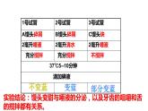 4.2.2消化和吸收课件2021-2022学年人教版生物七年级下册