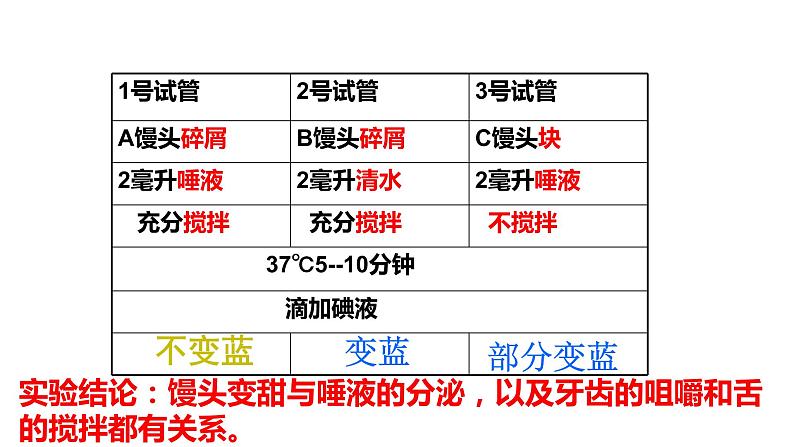 4.2.2消化和吸收课件2021-2022学年人教版生物七年级下册第5页