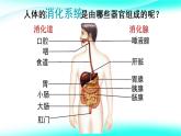 4.2.2消化和吸收课件2021--2022 学年人教版生物七年级下册