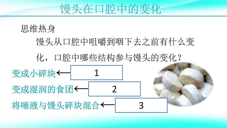 4.2.2消化和吸收课件2021--2022 学年人教版生物七年级下册第8页